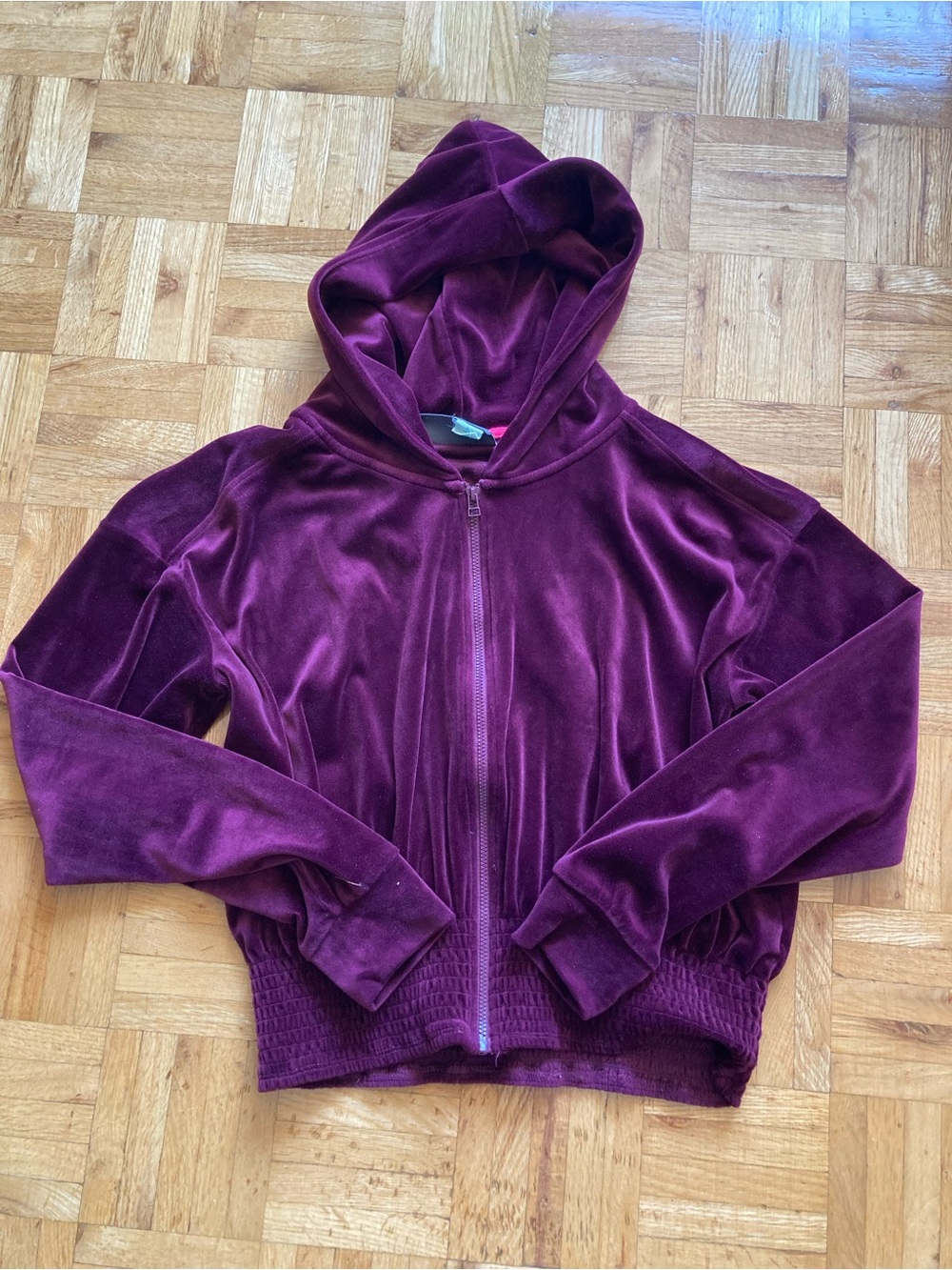 Anthropologie Velvet Hoodie in purple